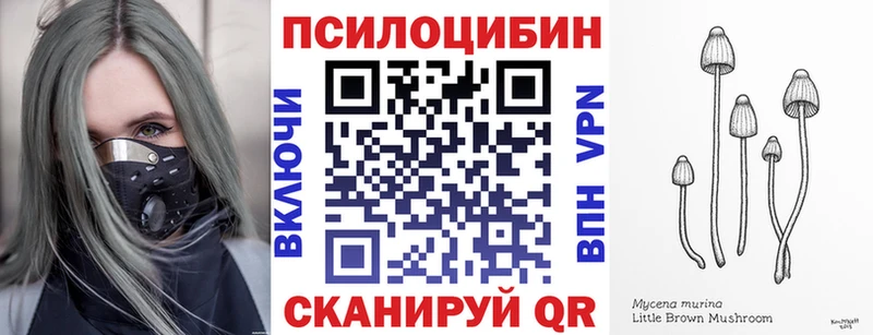 Псилоцибиновые грибы GOLDEN TEACHER  купить закладку  Мензелинск 