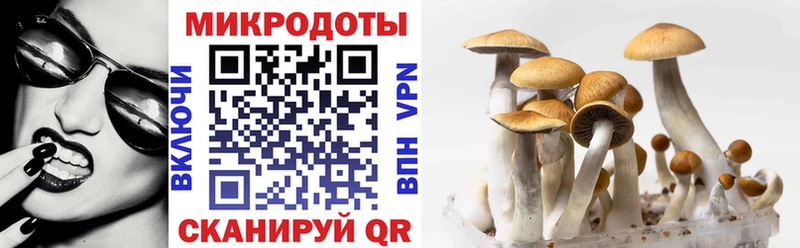 Псилоцибиновые грибы MAGIC MUSHROOMS Мензелинск